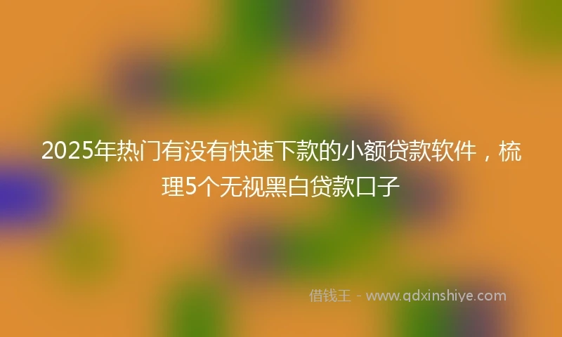 2025年热门有没有快速下款的小额贷款软件，梳理5个无视黑白贷款口子