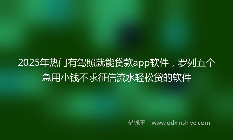 2025年热门有驾照就能贷款app软件，罗列五个急用小钱不求征信流水轻松贷的软件