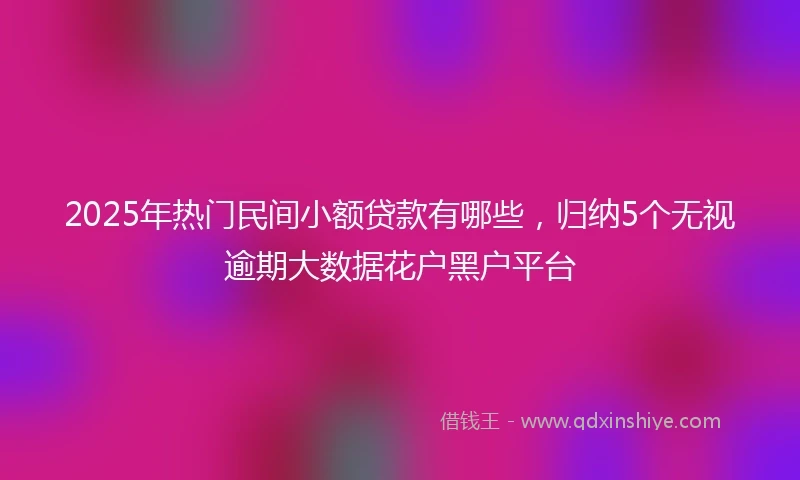 2025年热门民间小额贷款有哪些，归纳5个无视逾期大数据花户黑户平台