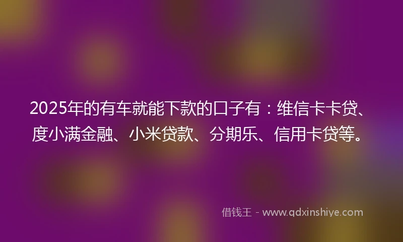 2025年的有车就能下款的口子有：维信卡卡贷、度小满金融、小米贷款、分期乐、信用卡贷等。
