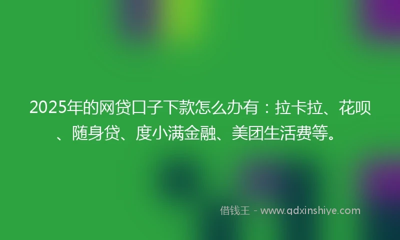 2025年的网贷口子下款怎么办有：拉卡拉、花呗、随身贷、度小满金融、美团生活费等。