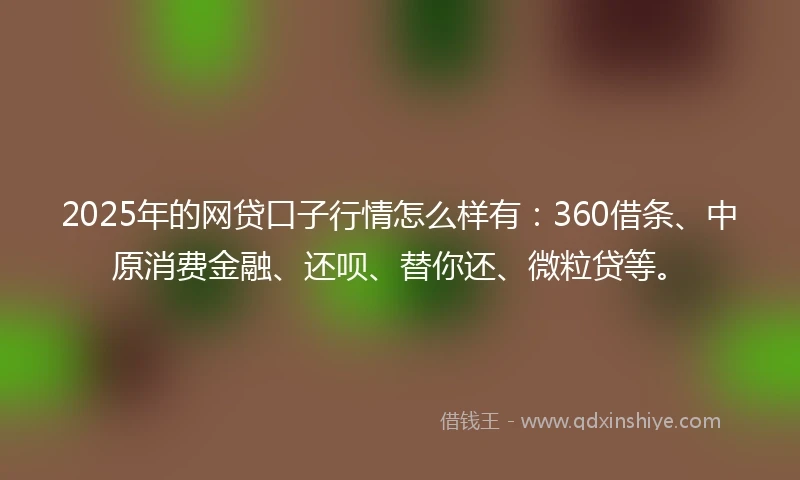 2025年的网贷口子行情怎么样有：360借条、中原消费金融、还呗、替你还、微粒贷等。