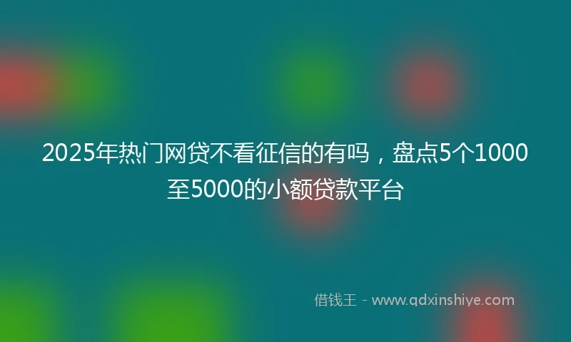 2025年热门网贷不看征信的有吗，盘点5个1000至5000的小额贷款平台