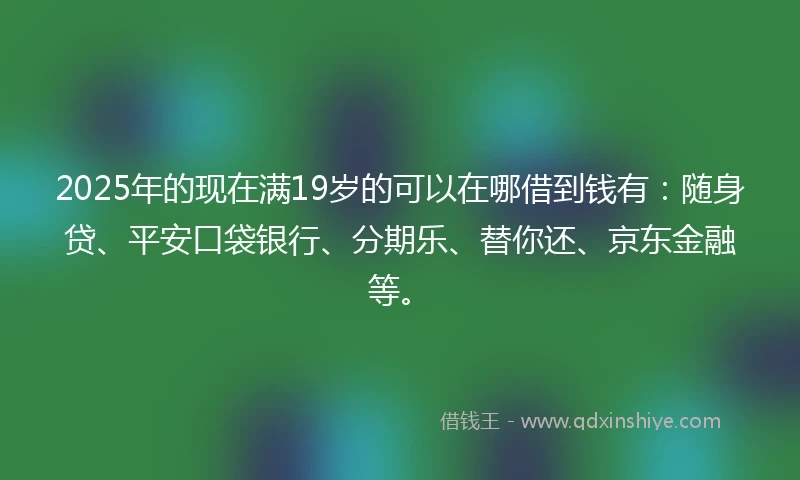 2025年的现在满19岁的可以在哪借到钱有：随身贷、平安口袋银行、分期乐、替你还、京东金融等。