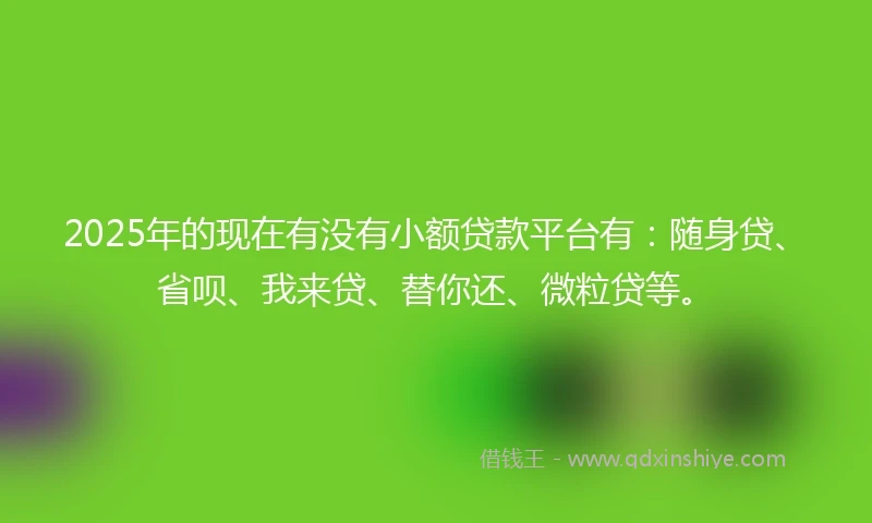 2025年的现在有没有小额贷款平台有：随身贷、省呗、我来贷、替你还、微粒贷等。
