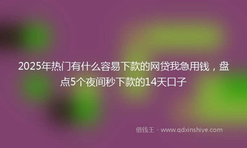 2025年热门有什么容易下款的网贷我急用钱，盘点5个夜间秒下款的14天口子