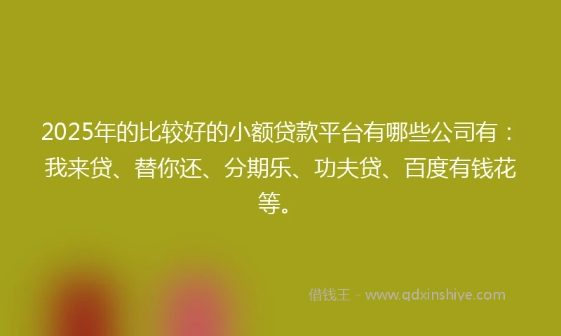 2025年的比较好的小额贷款平台有哪些公司有：我来贷、替你还、分期乐、功夫贷、百度有钱花等。