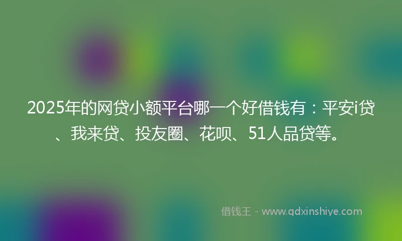 2025年的网贷小额平台哪一个好借钱有：平安i贷、我来贷、投友圈、花呗、51人品贷等。