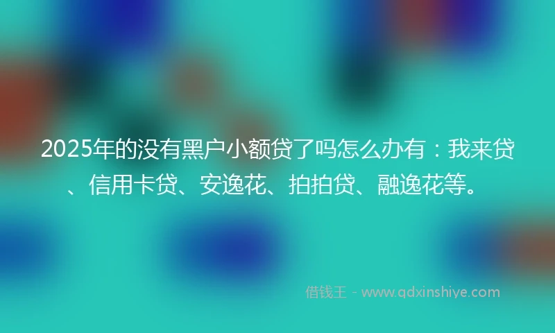 2025年的没有黑户小额贷了吗怎么办有：我来贷、信用卡贷、安逸花、拍拍贷、融逸花等。