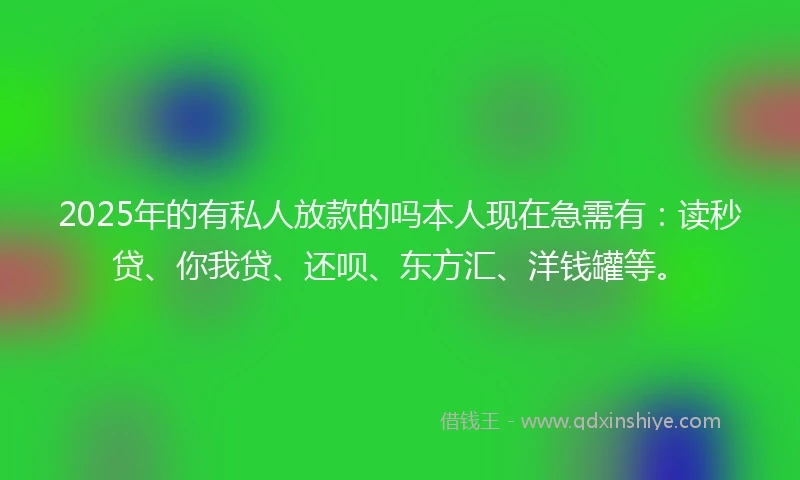 2025年的有私人放款的吗本人现在急需有：读秒贷、你我贷、还呗、东方汇、洋钱罐等。