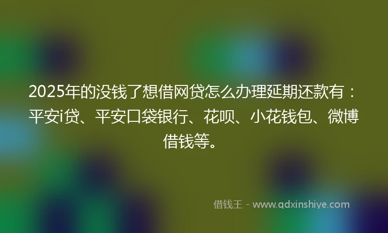 2025年的没钱了想借网贷怎么办理延期还款有：平安i贷、平安口袋银行、花呗、小花钱包、微博借钱等。