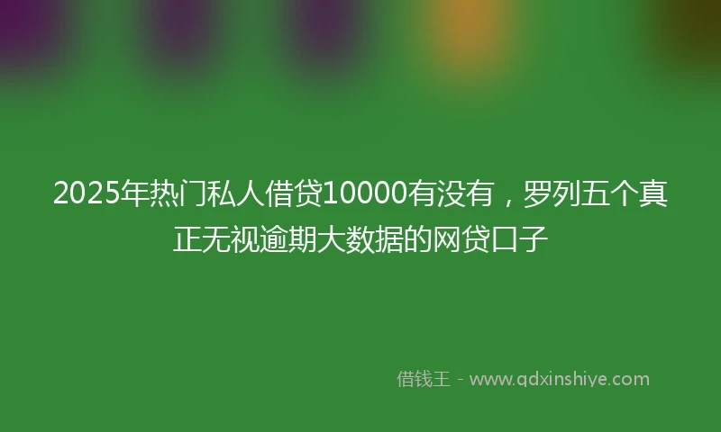 2025年热门私人借贷10000有没有，罗列五个真正无视逾期大数据的网贷口子