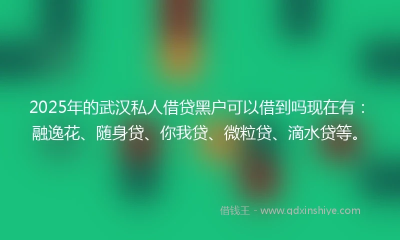 2025年的武汉私人借贷黑户可以借到吗现在有：融逸花、随身贷、你我贷、微粒贷、滴水贷等。