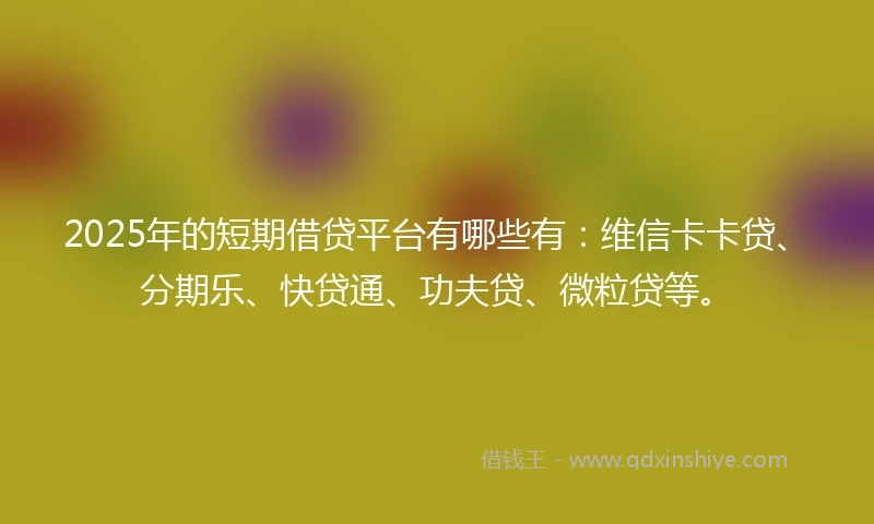 2025年的短期借贷平台有哪些有：维信卡卡贷、分期乐、快贷通、功夫贷、微粒贷等。