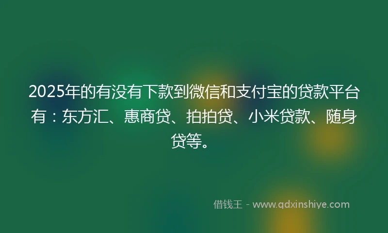 2025年的有没有下款到微信和支付宝的贷款平台有：东方汇、惠商贷、拍拍贷、小米贷款、随身贷等。