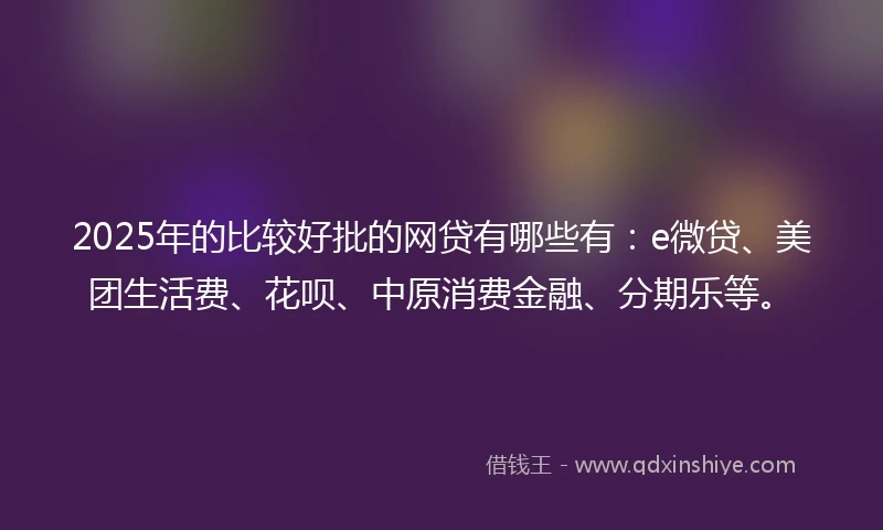 2025年的比较好批的网贷有哪些有：e微贷、美团生活费、花呗、中原消费金融、分期乐等。
