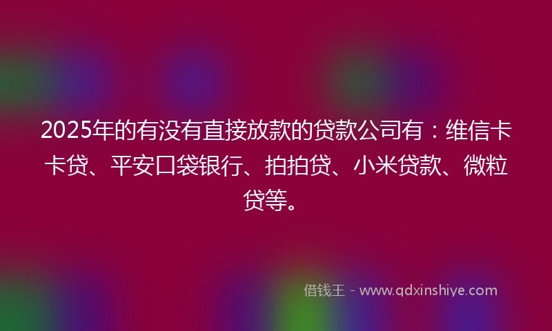 2025年的有没有直接放款的贷款公司有：维信卡卡贷、平安口袋银行、拍拍贷、小米贷款、微粒贷等。