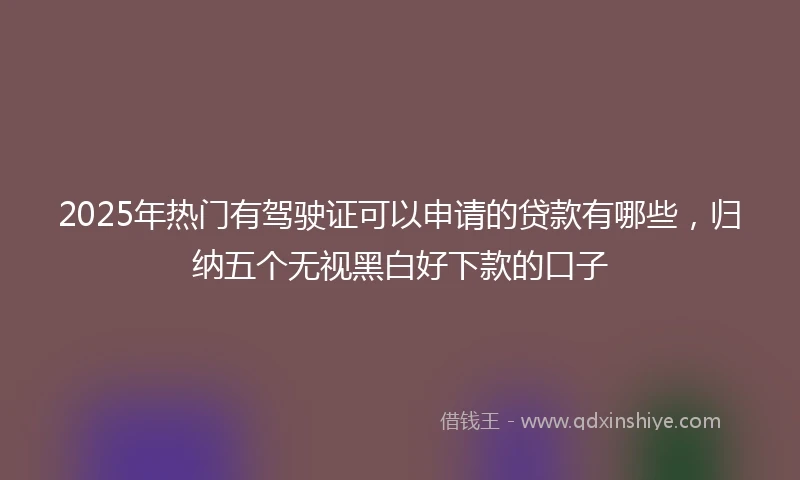 2025年热门有驾驶证可以申请的贷款有哪些，归纳五个无视黑白好下款的口子