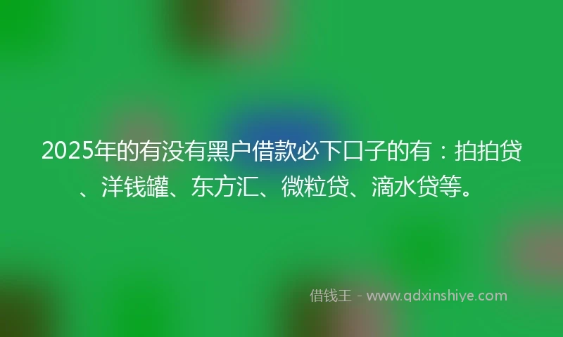 2025年的有没有黑户借款必下口子的有：拍拍贷、洋钱罐、东方汇、微粒贷、滴水贷等。