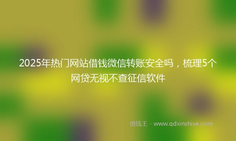 2025年热门网站借钱微信转账安全吗，梳理5个网贷无视不查征信软件