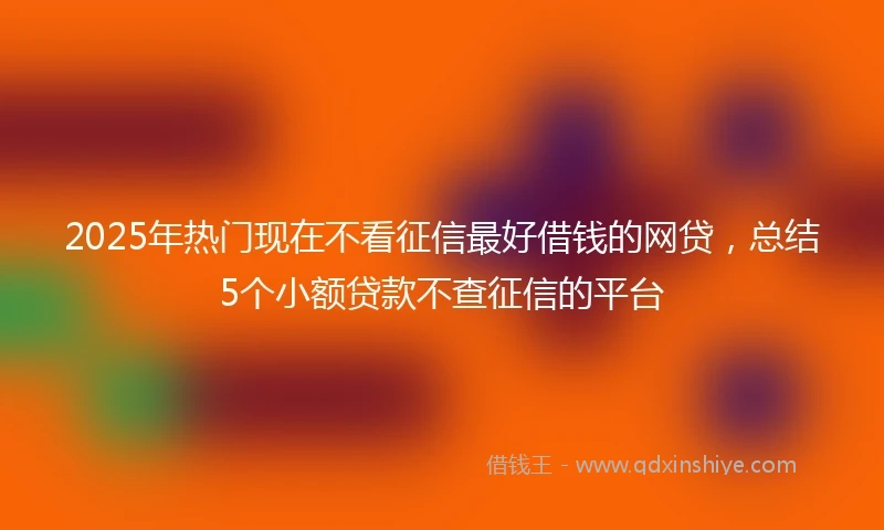 2025年热门现在不看征信最好借钱的网贷，总结5个小额贷款不查征信的平台