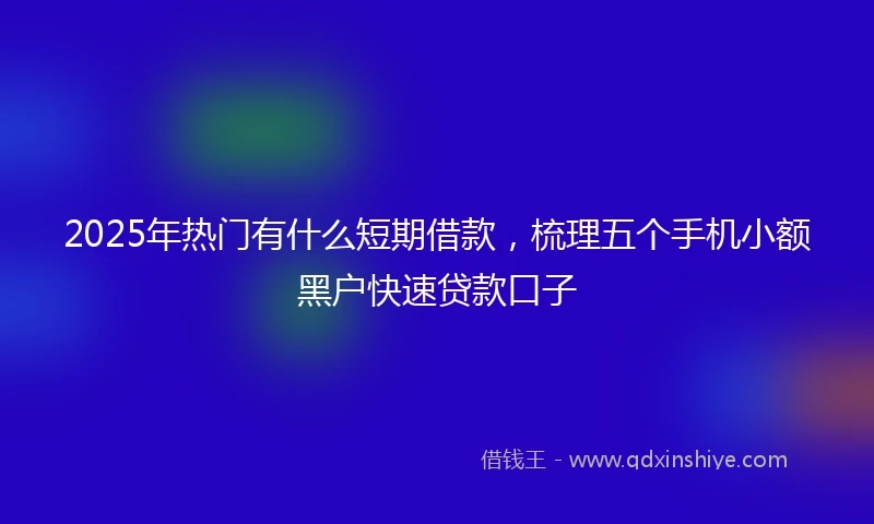 2025年热门有什么短期借款，梳理五个手机小额黑户快速贷款口子