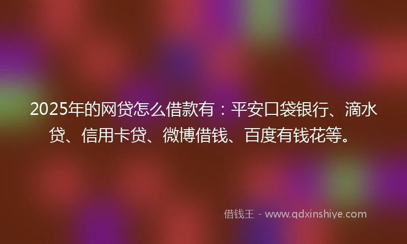 2025年的网贷怎么借款有：平安口袋银行、滴水贷、信用卡贷、微博借钱、百度有钱花等。