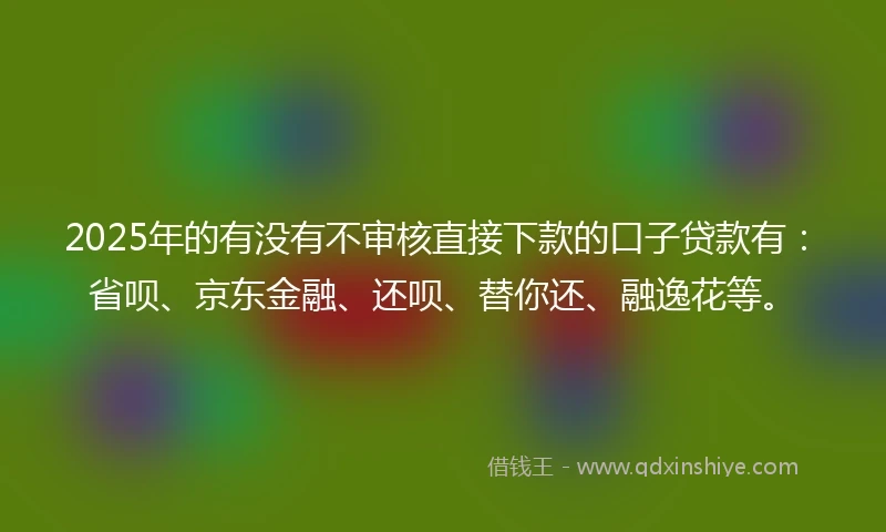 2025年的有没有不审核直接下款的口子贷款有：省呗、京东金融、还呗、替你还、融逸花等。