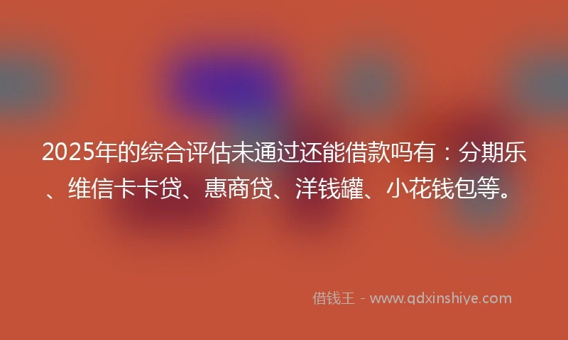 2025年的综合评估未通过还能借款吗有：分期乐、维信卡卡贷、惠商贷、洋钱罐、小花钱包等。