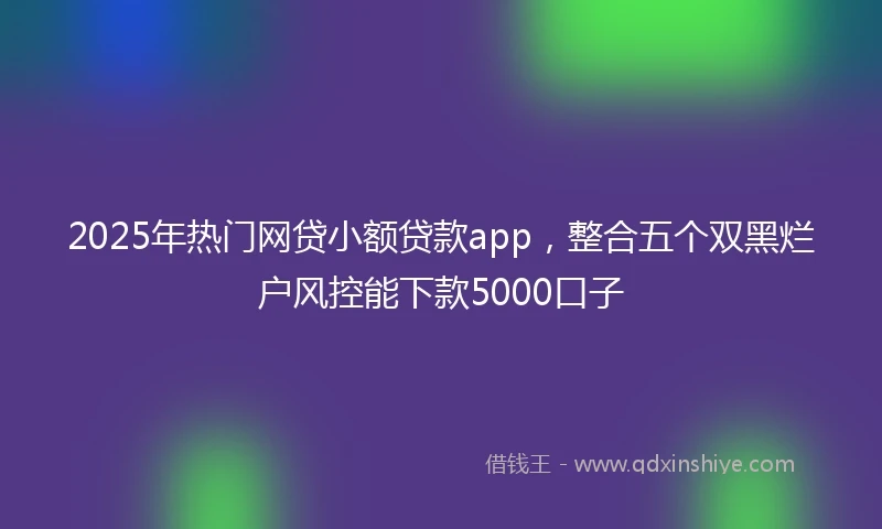 2025年热门网贷小额贷款app，整合五个双黑烂户风控能下款5000口子