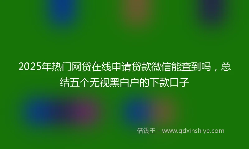 2025年热门网贷在线申请贷款微信能查到吗，总结五个无视黑白户的下款口子