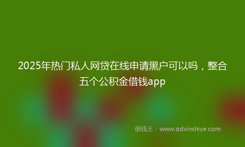 2025年热门私人网贷在线申请黑户可以吗，整合五个公积金借钱app