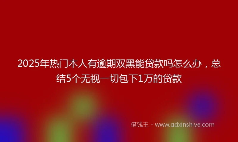 2025年热门本人有逾期双黑能贷款吗怎么办，总结5个无视一切包下1万的贷款