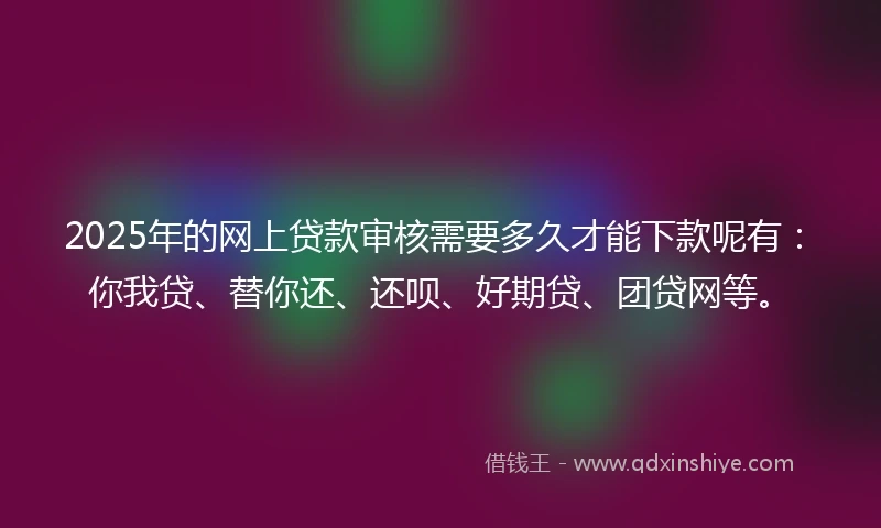 2025年的网上贷款审核需要多久才能下款呢有：你我贷、替你还、还呗、好期贷、团贷网等。