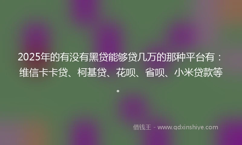 2025年的有没有黑贷能够贷几万的那种平台有：维信卡卡贷、柯基贷、花呗、省呗、小米贷款等。