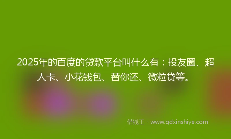 2025年的百度的贷款平台叫什么有：投友圈、超人卡、小花钱包、替你还、微粒贷等。