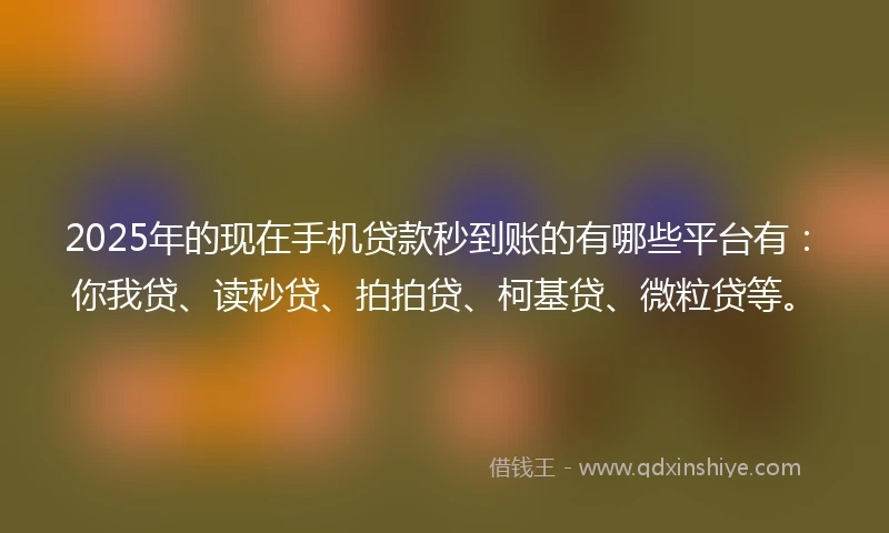 2025年的现在手机贷款秒到账的有哪些平台有：你我贷、读秒贷、拍拍贷、柯基贷、微粒贷等。