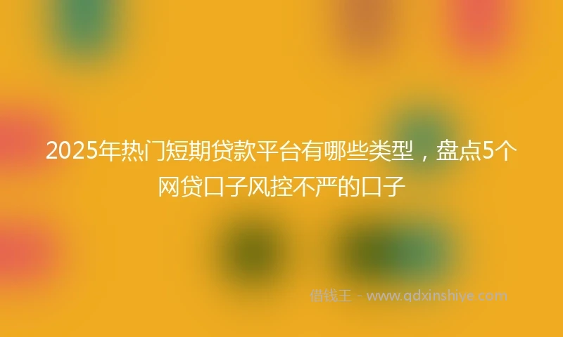 2025年热门短期贷款平台有哪些类型，盘点5个网贷口子风控不严的口子