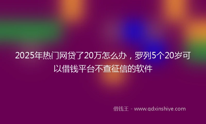 2025年热门网贷了20万怎么办，罗列5个20岁可以借钱平台不查征信的软件