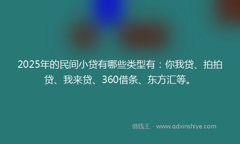 2025年的民间小贷有哪些类型有：你我贷、拍拍贷、我来贷、360借条、东方汇等。