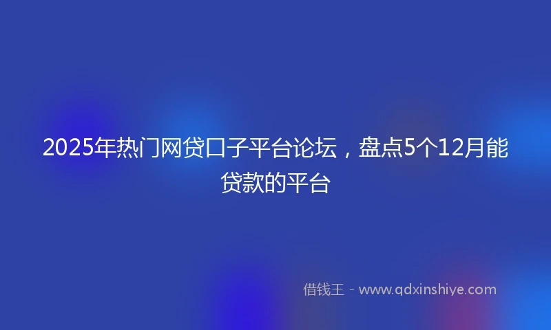 2025年热门网贷口子平台论坛，盘点5个12月能贷款的平台