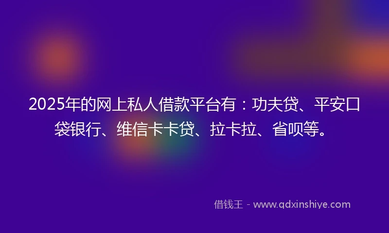 2025年的网上私人借款平台有：功夫贷、平安口袋银行、维信卡卡贷、拉卡拉、省呗等。