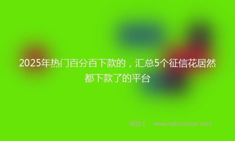 2025年热门百分百下款的，汇总5个征信花居然都下款了的平台