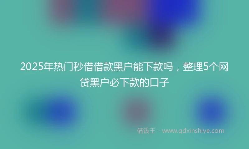 2025年热门秒借借款黑户能下款吗，整理5个网贷黑户必下款的口子