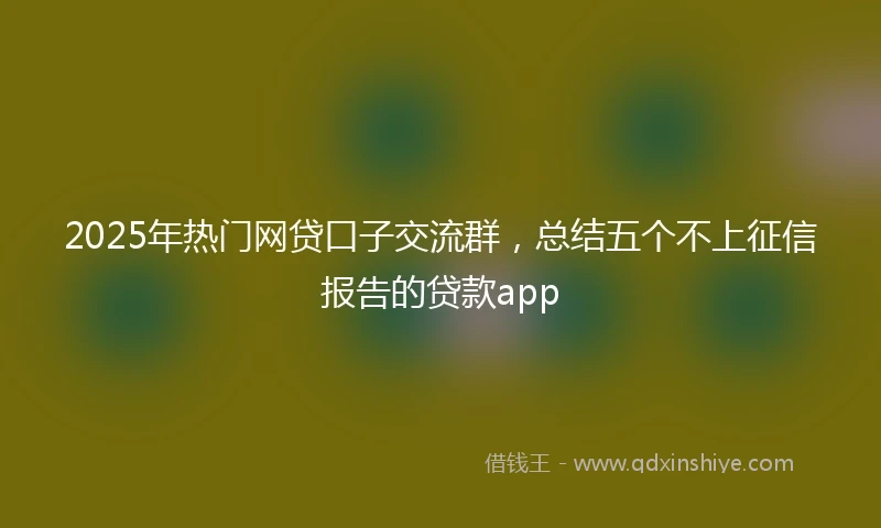 2025年热门网贷口子交流群，总结五个不上征信报告的贷款app