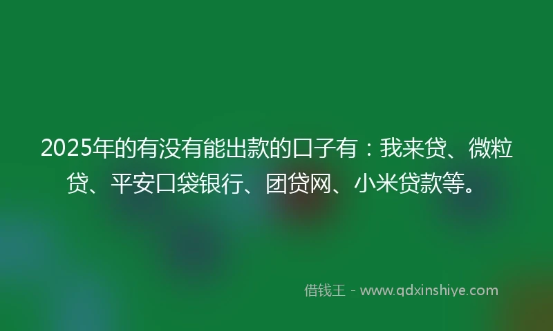 2025年的有没有能出款的口子有：我来贷、微粒贷、平安口袋银行、团贷网、小米贷款等。