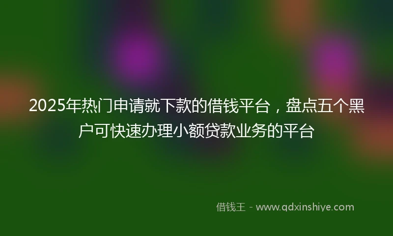 2025年热门申请就下款的借钱平台，盘点五个黑户可快速办理小额贷款业务的平台