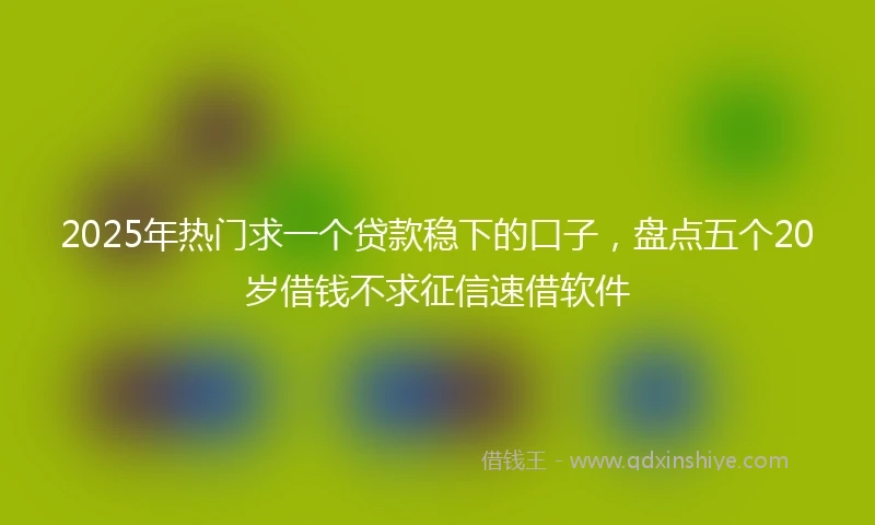 2025年热门求一个贷款稳下的口子，盘点五个20岁借钱不求征信速借软件