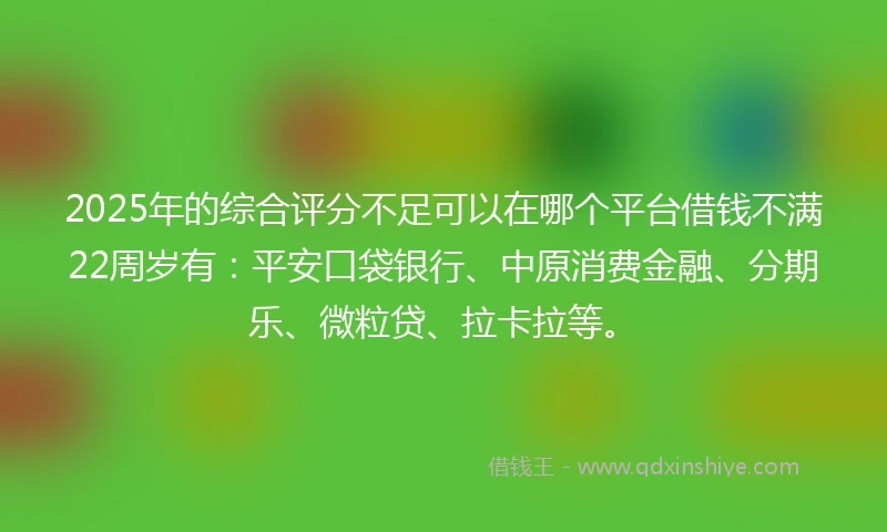 2025年的综合评分不足可以在哪个平台借钱不满22周岁有：平安口袋银行、中原消费金融、分期乐、微粒贷、拉卡拉等。