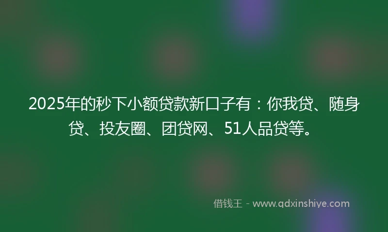 2025年的秒下小额贷款新口子有：你我贷、随身贷、投友圈、团贷网、51人品贷等。